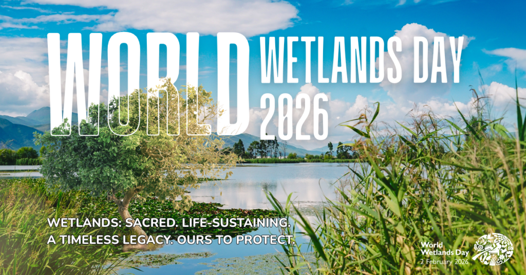 World Wetlands Day wetlands as national public goods